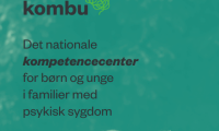 Front kombu